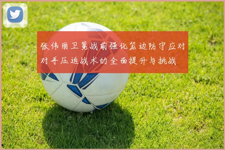 张伟丽卫冕战前强化笼边防守应对对手压迫战术的全面提升与挑战