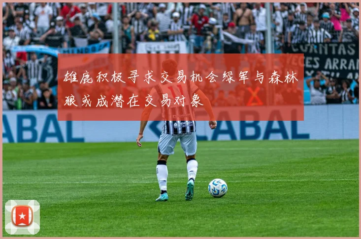 雄鹿积极寻求交易机会绿军与森林狼或成潜在交易对象