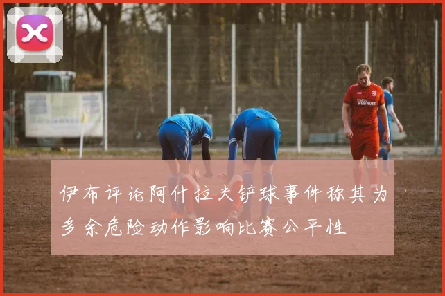 伊布评论阿什拉夫铲球事件称其为多余危险动作影响比赛公平性