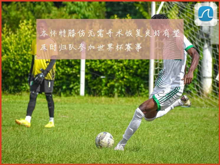 本怀特膝伤无需手术恢复良好有望及时归队参加世界杯赛事