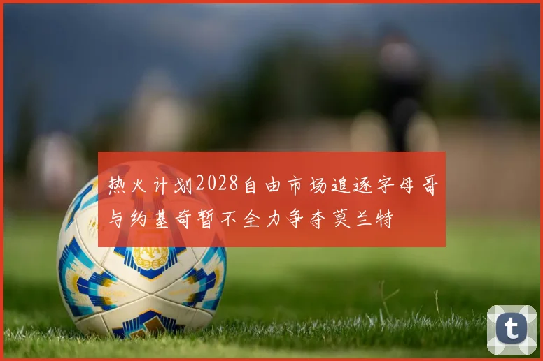 热火计划2028自由市场追逐字母哥与约基奇暂不全力争夺莫兰特